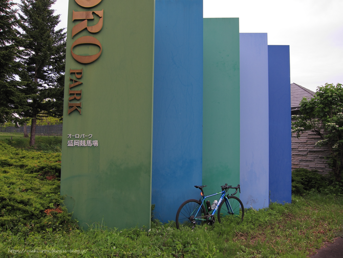 IMG_6713.png