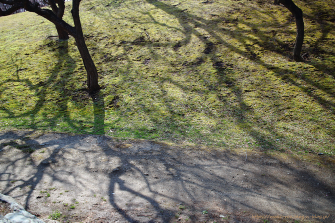 IMG_6799.png