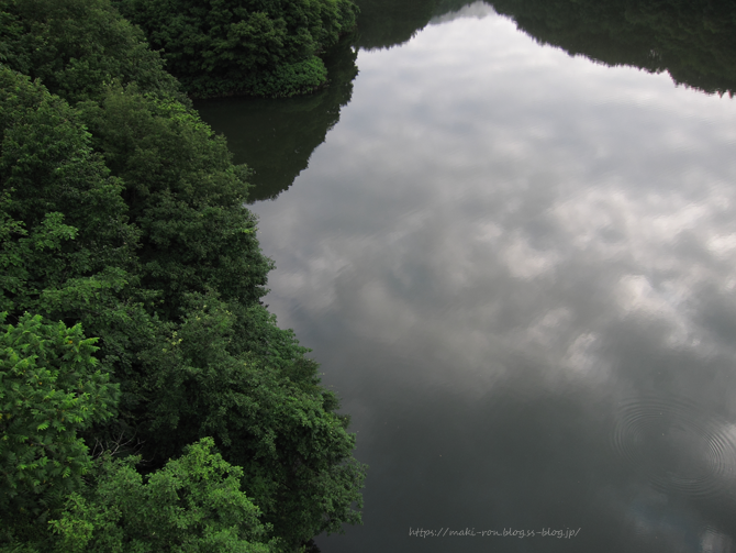 IMG_6803.png