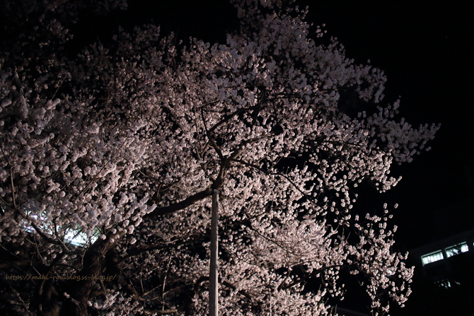 IMG_6804.png