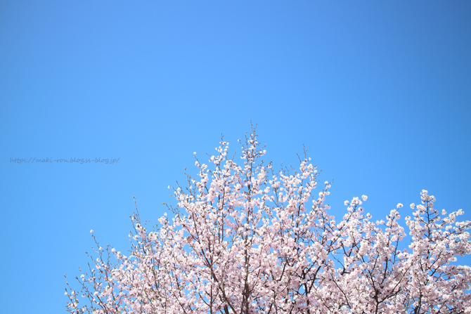 IMG_6820.png