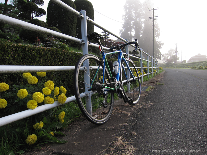 IMG_6827.png