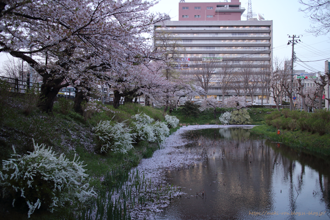 IMG_6834.png