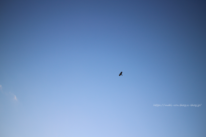 IMG_6836.png