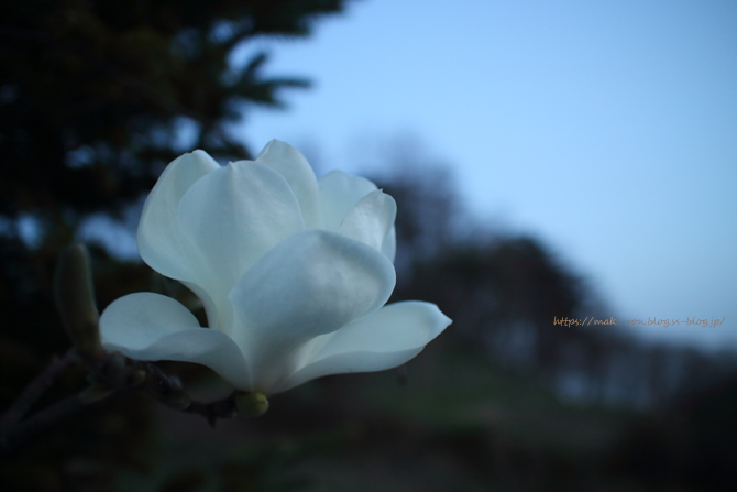 IMG_6838.png