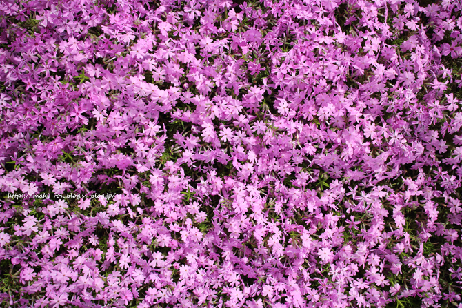 IMG_6857.png