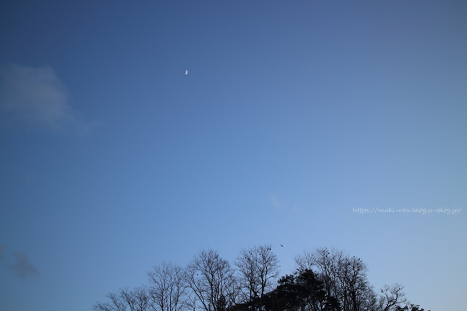 IMG_6871.png
