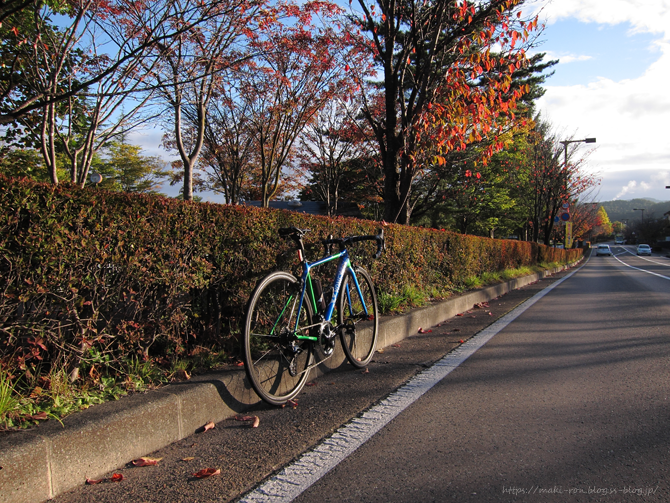 IMG_6901.png