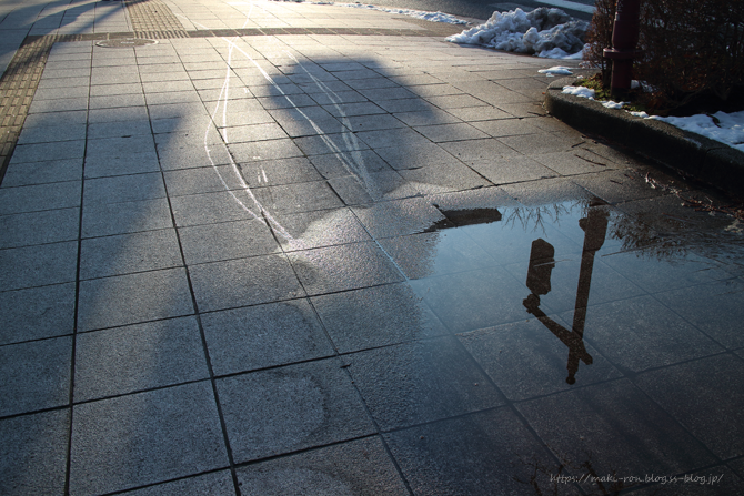 IMG_6915.png