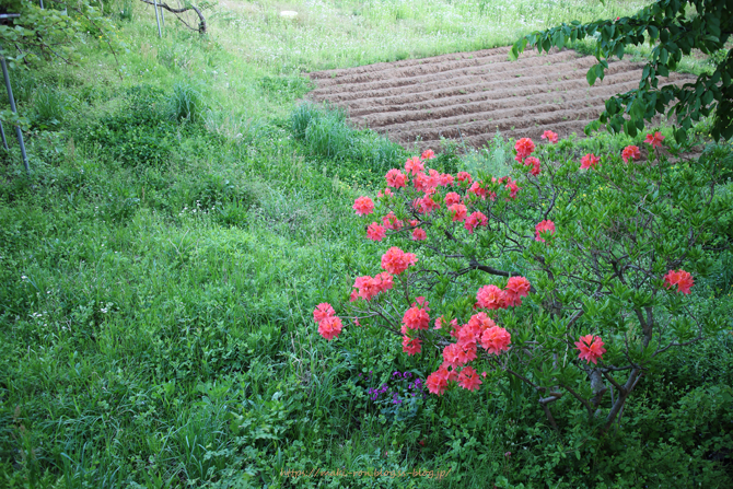 IMG_6917.png