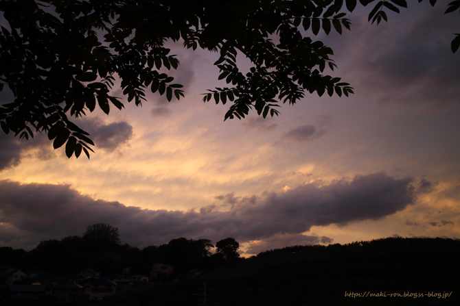 IMG_6931.png