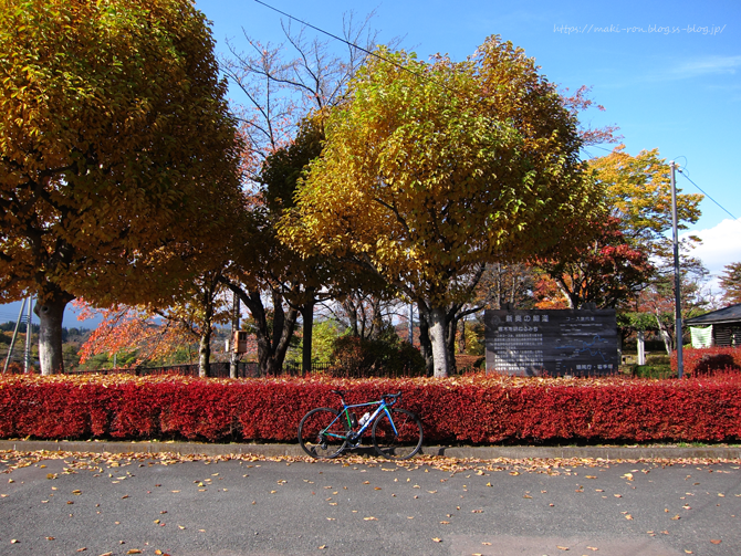 IMG_6945.png