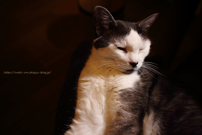 IMG_6958.png