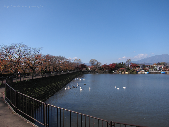 IMG_6972.png