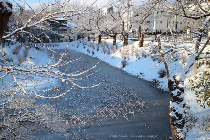 IMG_6994.png
