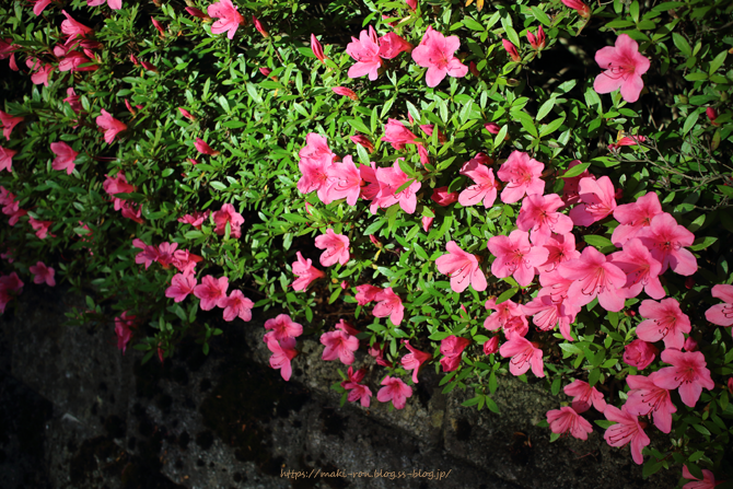 IMG_6996.png