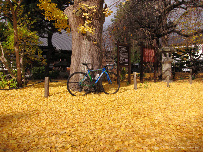IMG_7003.png