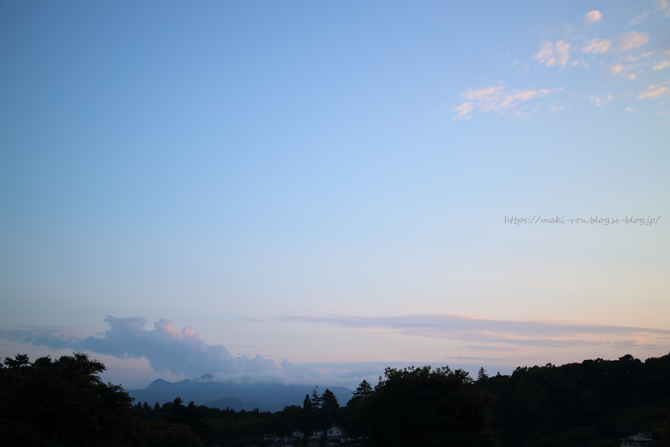 IMG_7014.png