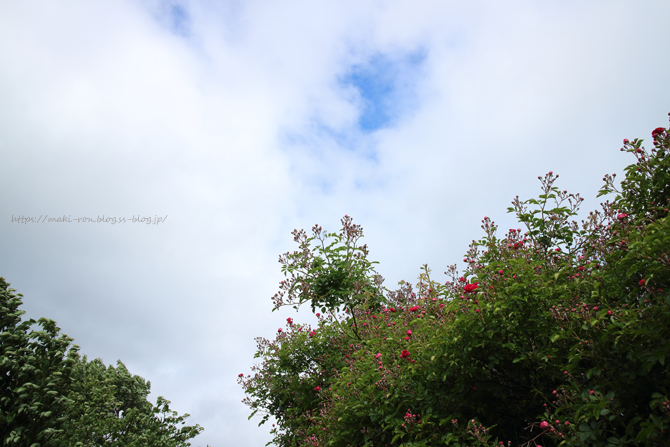 IMG_7016.png