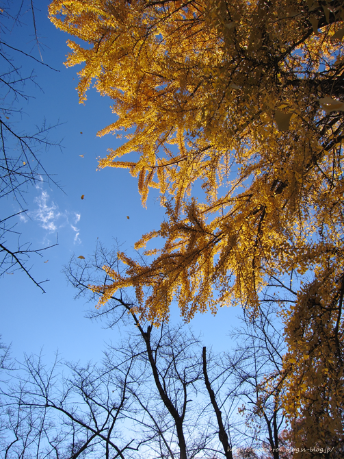 IMG_7027.png