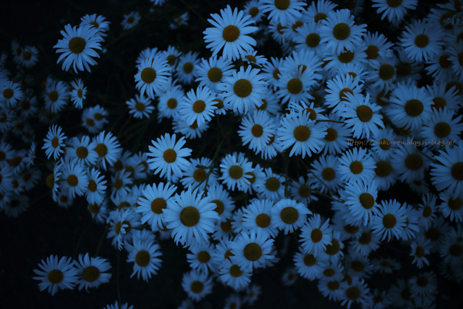 IMG_7036.png
