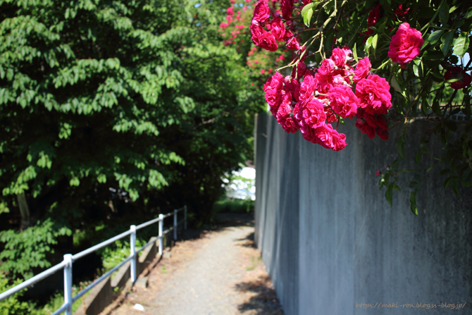 IMG_7048.png