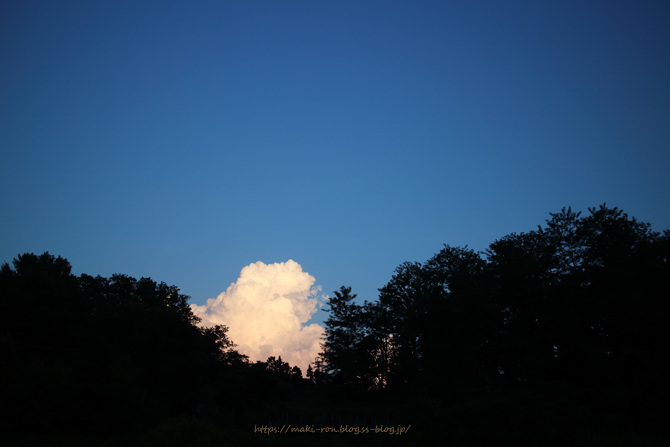 IMG_7064.png