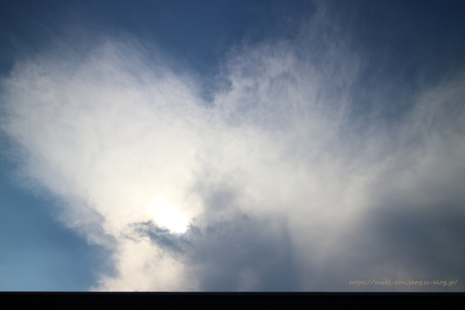 IMG_7071.png