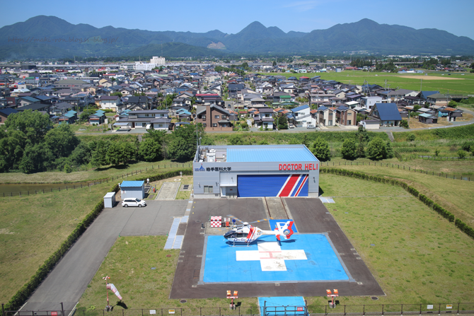 IMG_7133.png