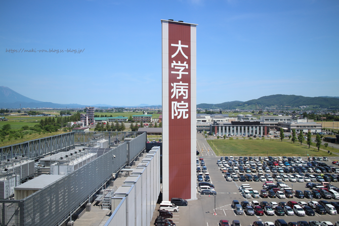 IMG_7135.png