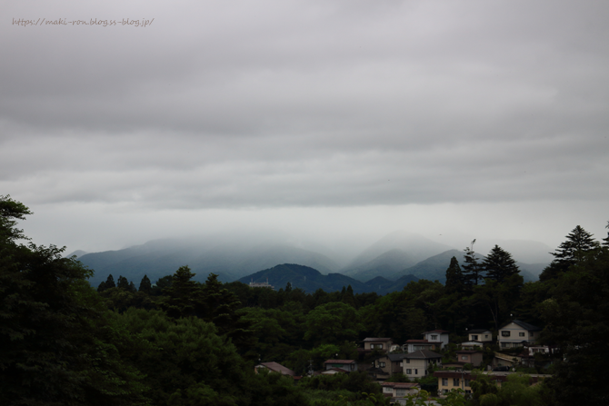 IMG_7162.png