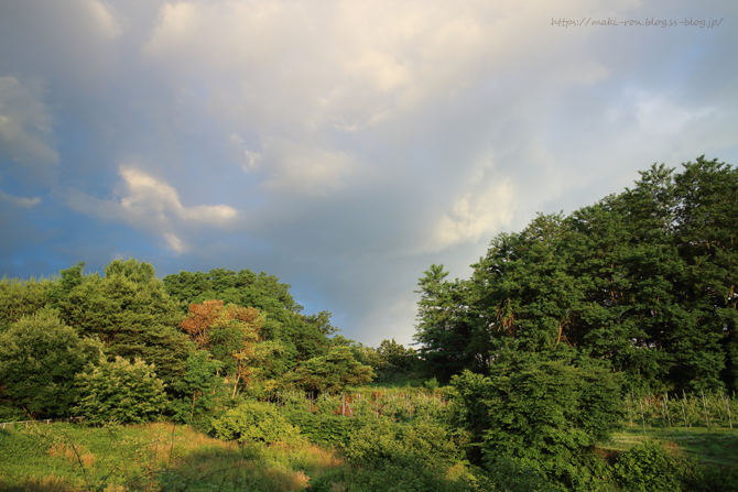 IMG_7168.png