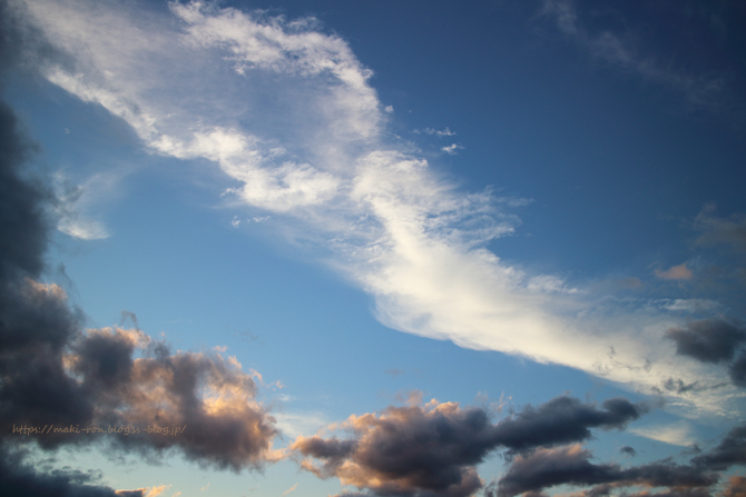 IMG_7178.png