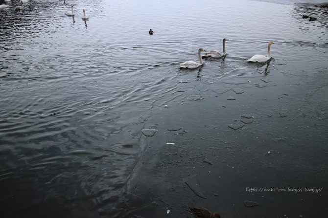IMG_7181.png
