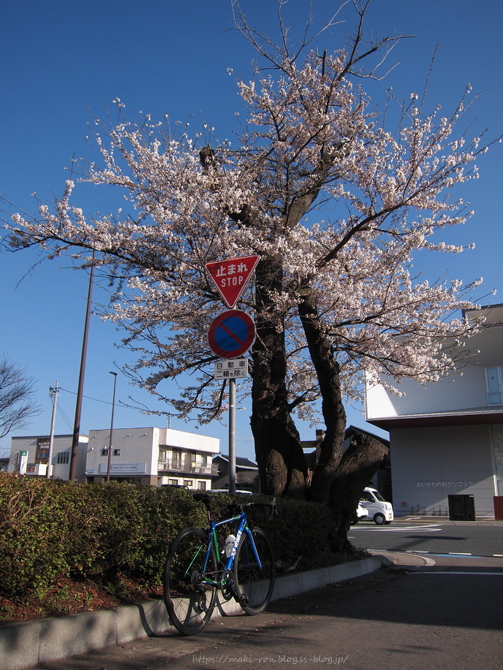 IMG_7191.png
