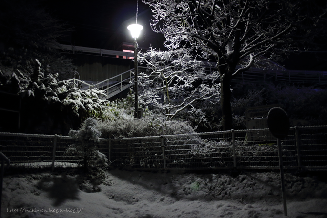 IMG_7221.png