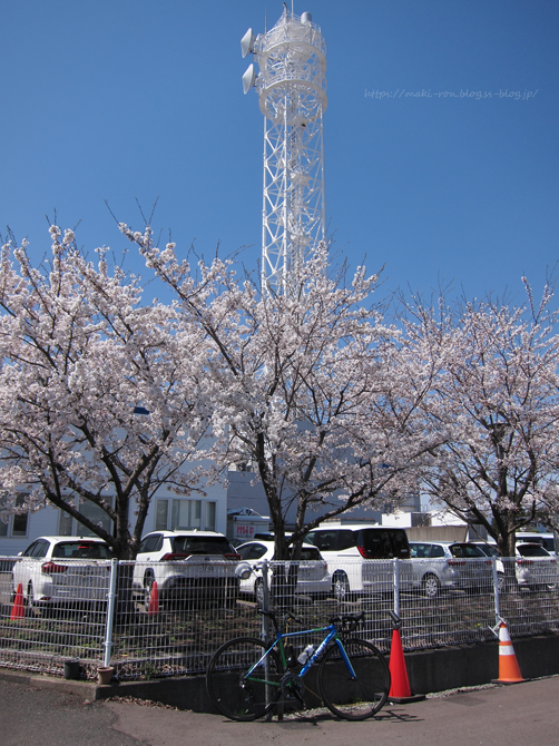 IMG_7241.png
