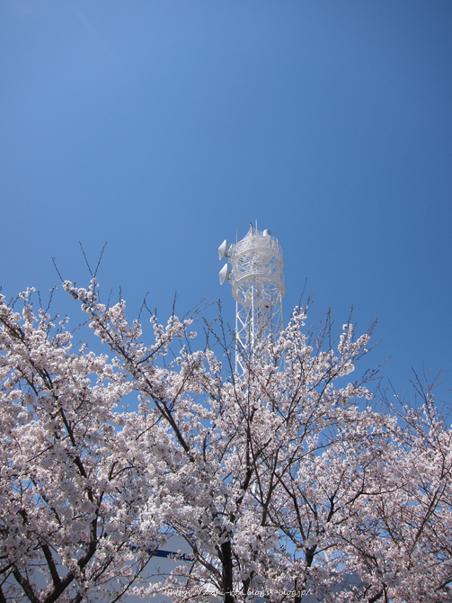 IMG_7246.png