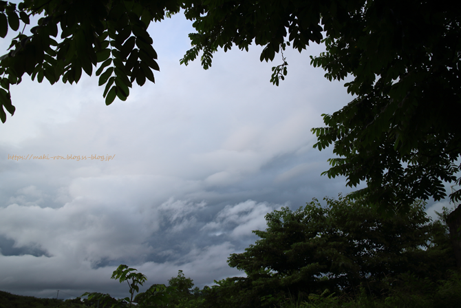 IMG_7255.png