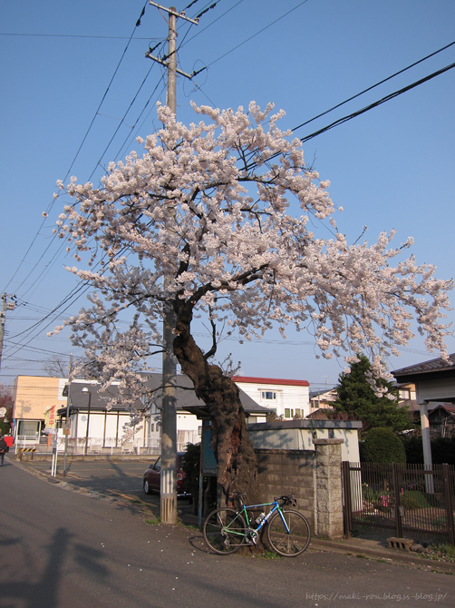 IMG_7282.png