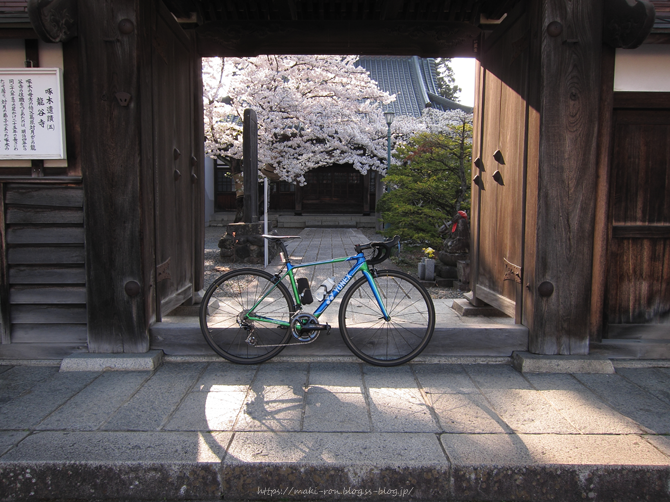 IMG_7304.png