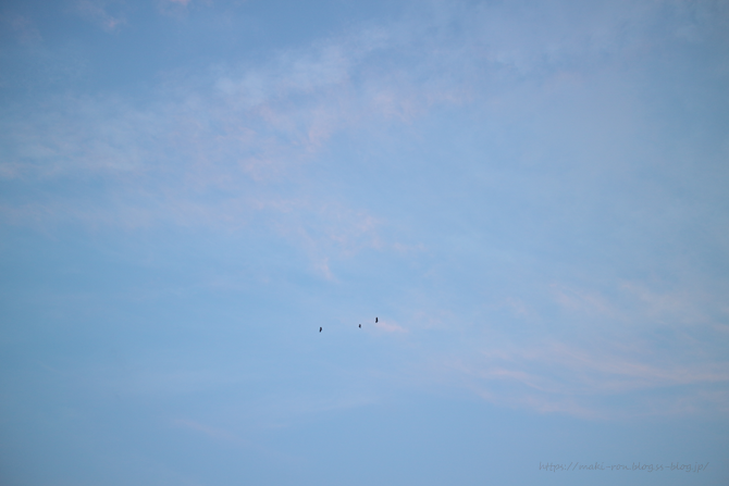 IMG_7345.png