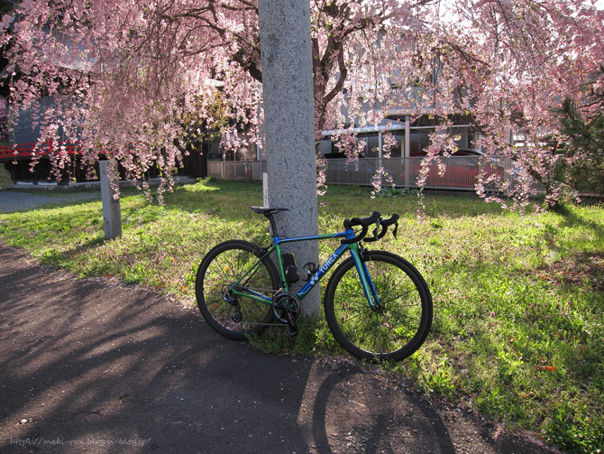 IMG_7353.png