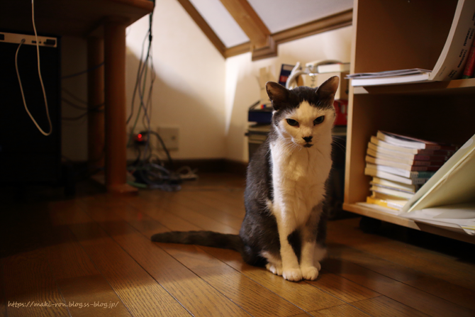 IMG_7372.png