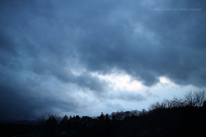 IMG_7386.png