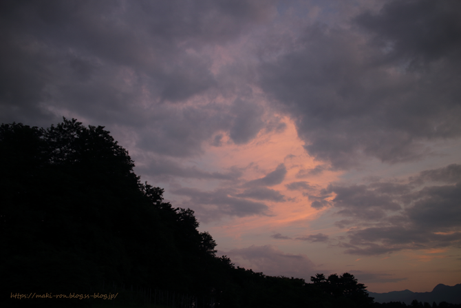 IMG_7437.png