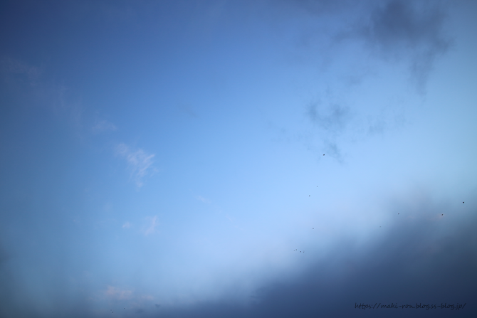 IMG_7445.png