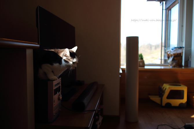 IMG_7457.png