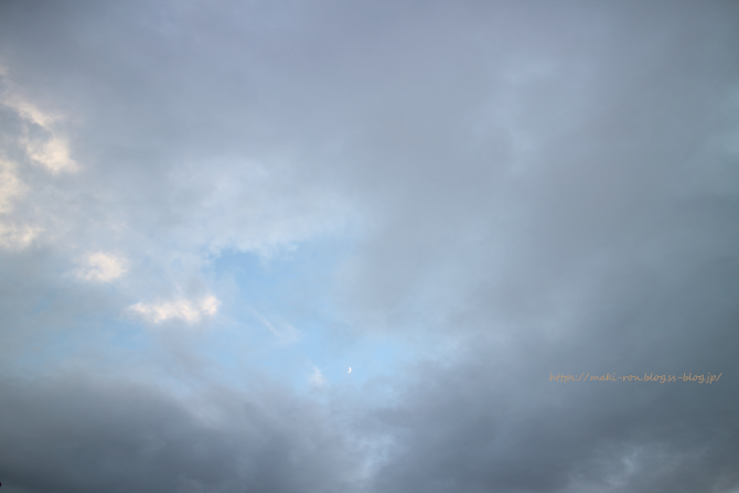 IMG_7491.png