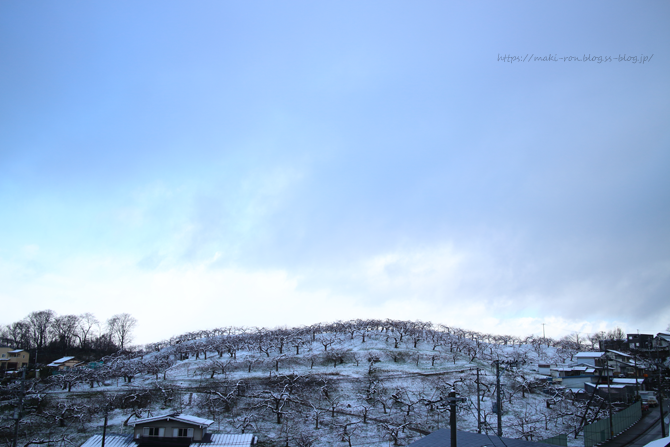 IMG_7496.png